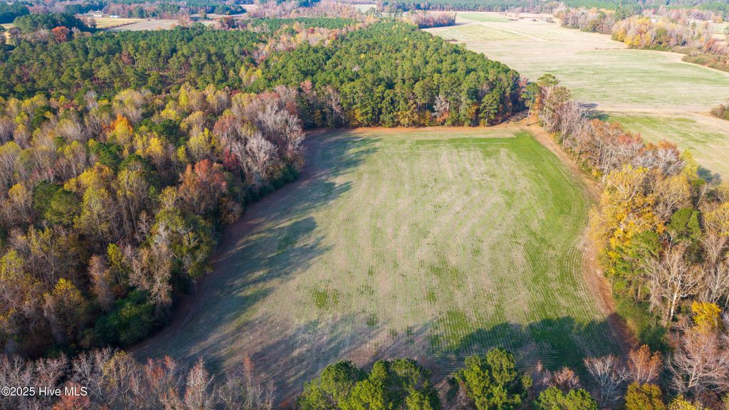 Photo of 4 Off High School Road, Teachey, NC 28464 (MLS # 100543968)