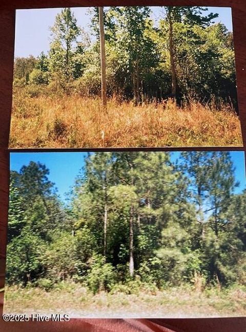 Tiny photo for 599 Drayton Road, Boiling Spring Lakes, NC 28461 (MLS # 100535895)