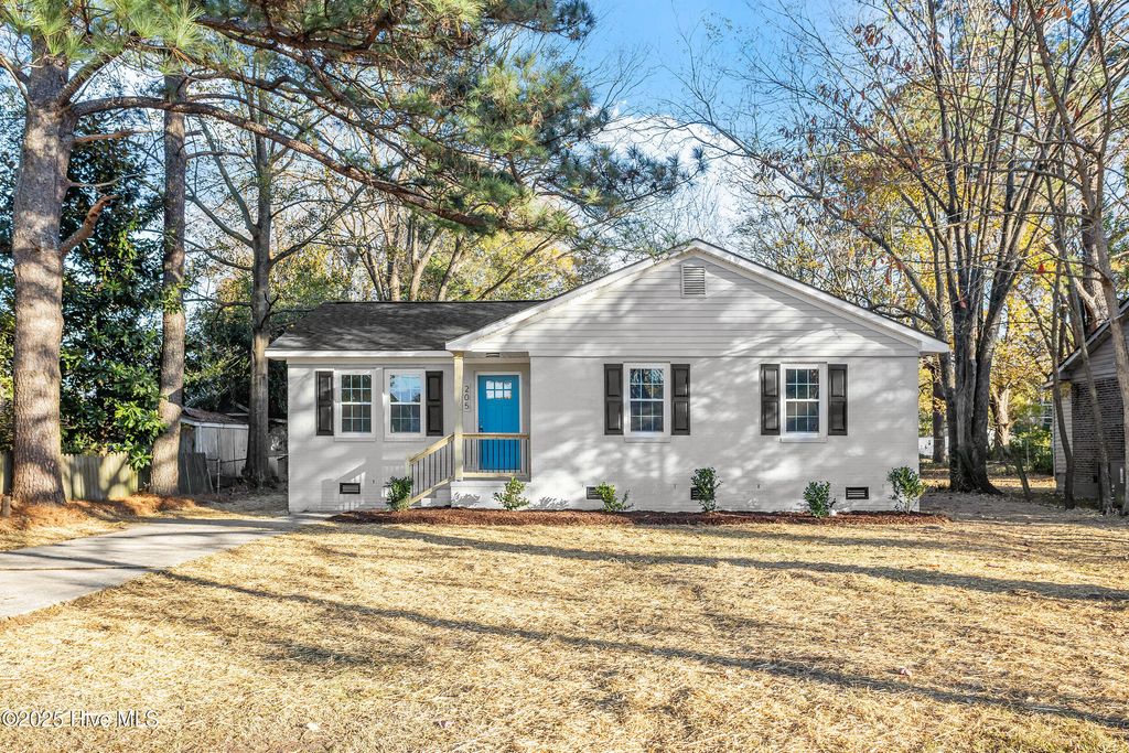 Photo of 205 S Railroad Street, Elm City, NC 27822 (MLS # 100541477)