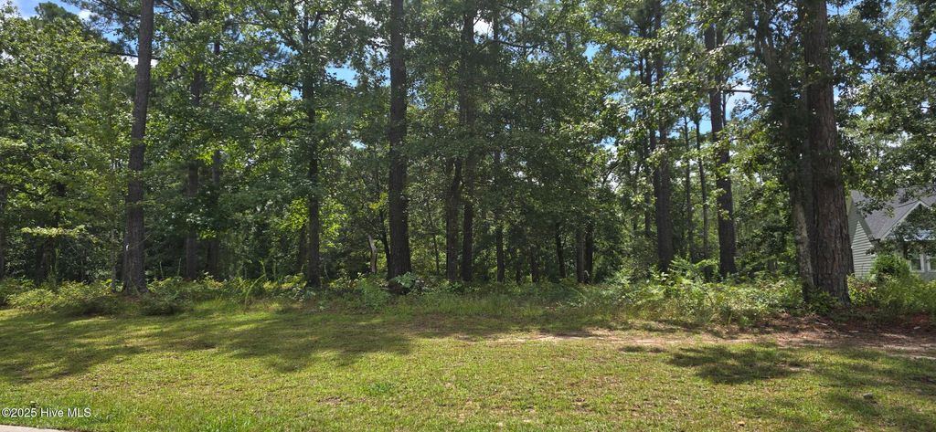 Photo of 771 Cedarhurst Drive SE, Bolivia, NC 28422 (MLS # 100522930)