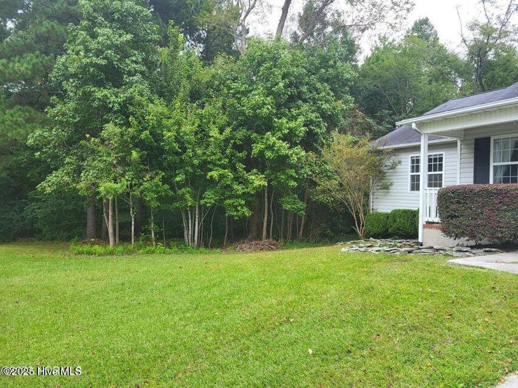 Photo of 124 Villa Park Drive, Hubert, NC 28539 (MLS # 100543882)
