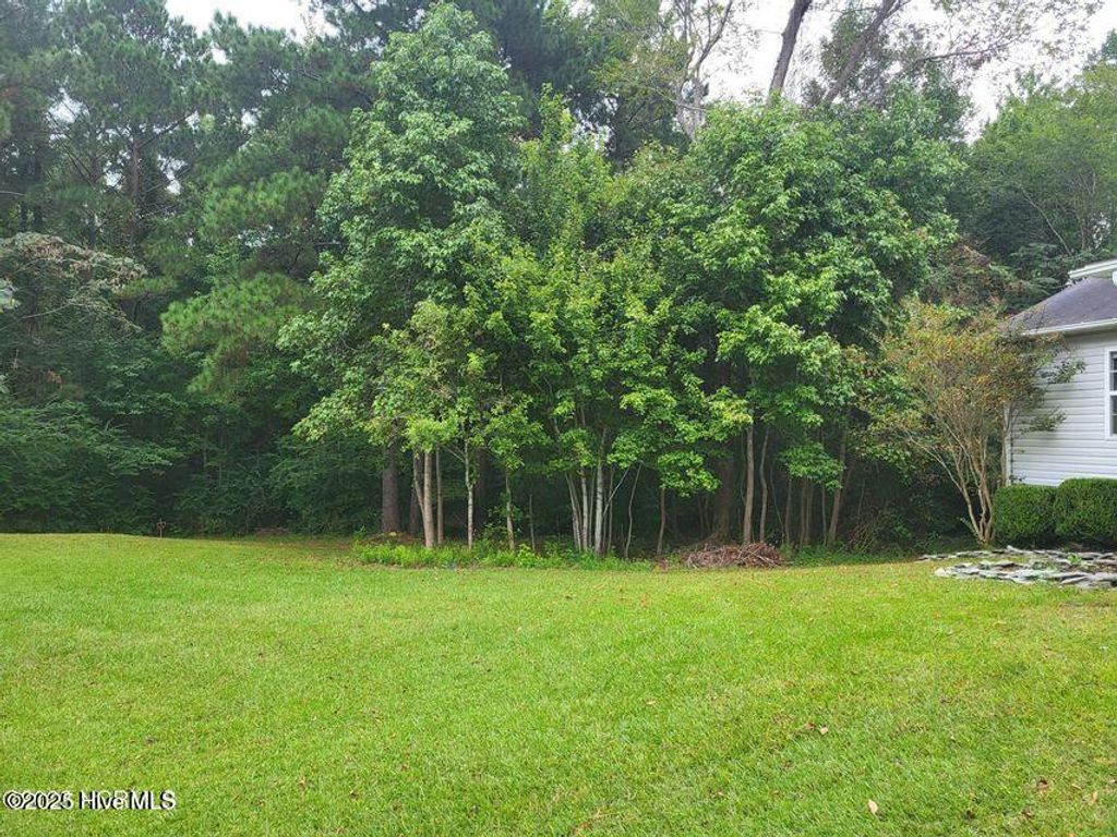 Photo of 124 Villa Park Drive, Hubert, NC 28539 (MLS # 100543882)