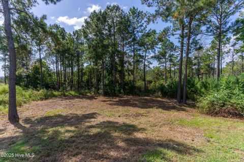 Tiny photo for 268 Kings Creek Crossing, Holly Ridge, NC 28445 (MLS # 100534394)