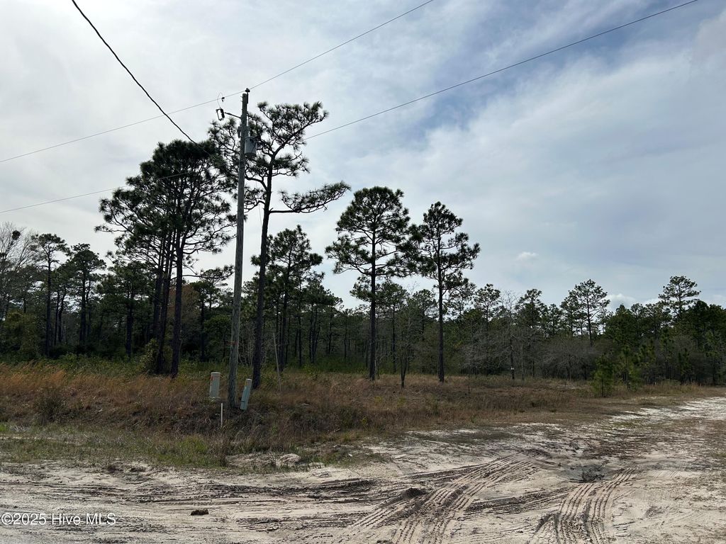 Photo of 0 Virginia Drive, Boiling Spring Lakes, NC 28461 (MLS # 100532920)