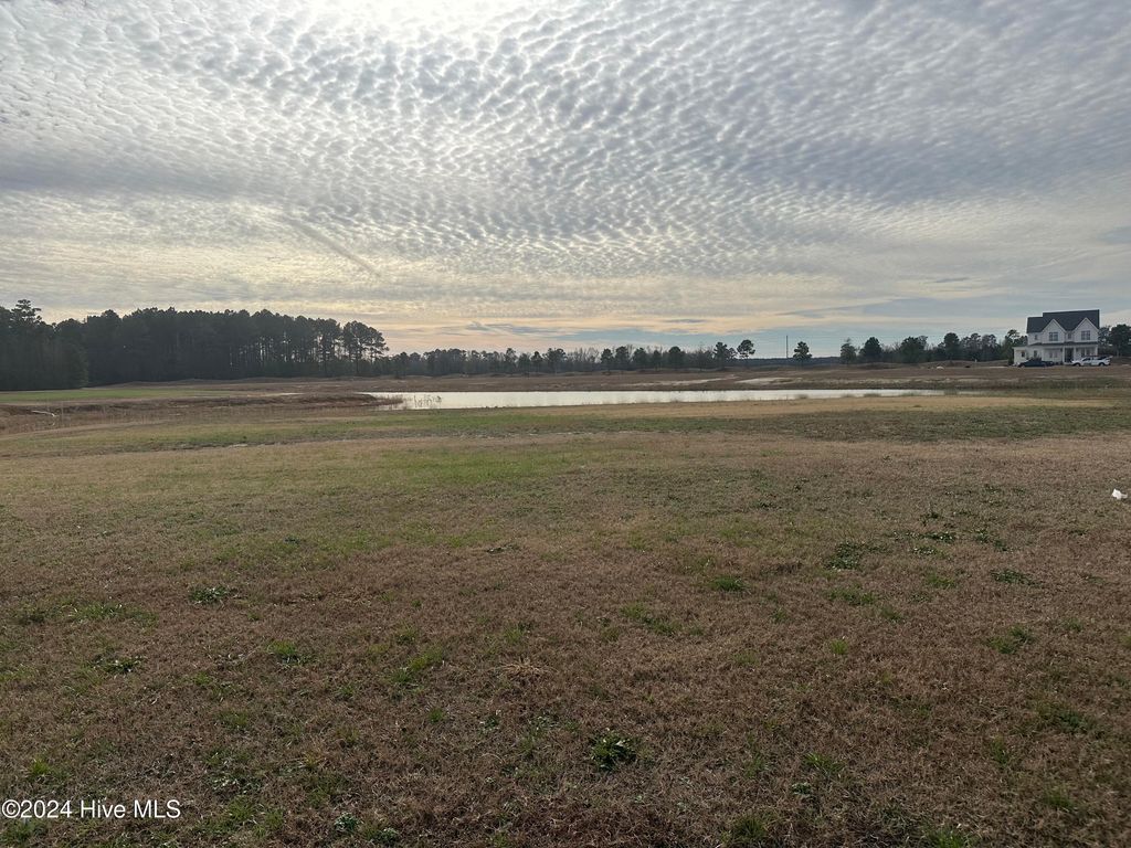 Photo of 37 Pine Tree Point, Snow Hill, NC 28580 (MLS # 100521685)