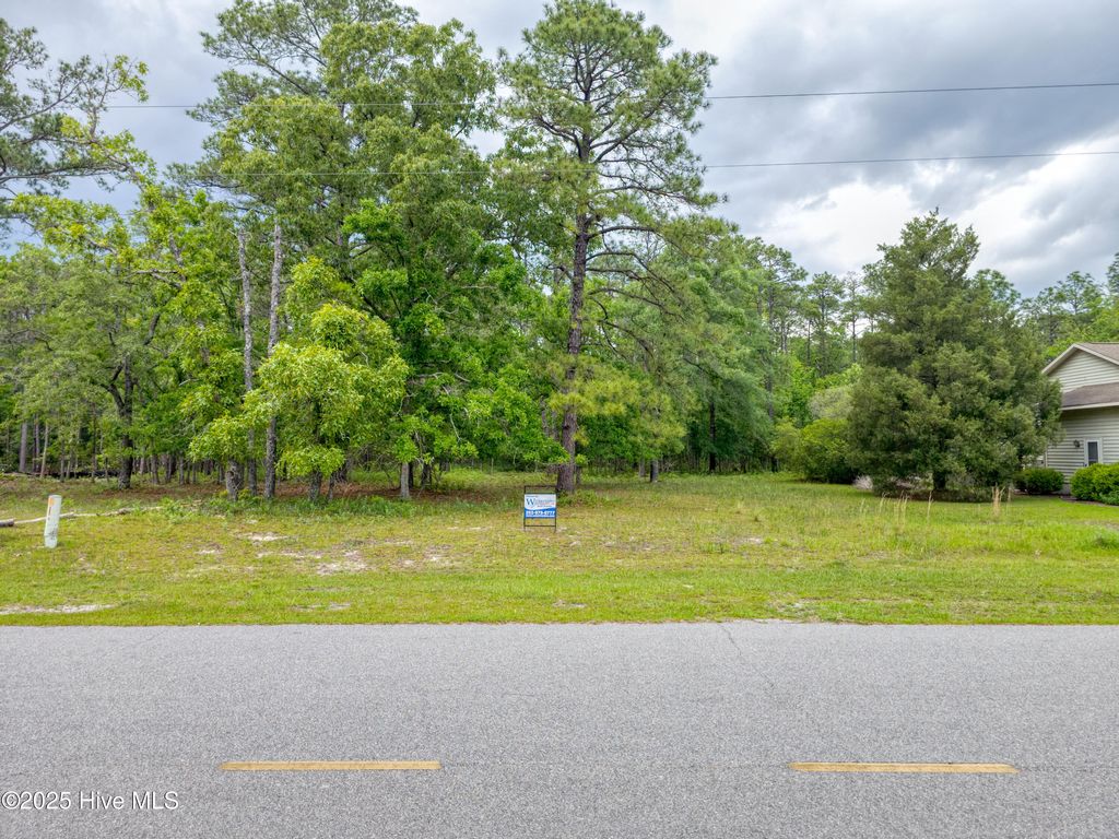 Photo of 2302 Caracara Drive, New Bern, NC 28560 (MLS # 100501278)