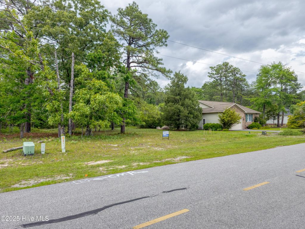 Photo of 2302 Caracara Drive, New Bern, NC 28560 (MLS # 100501278)