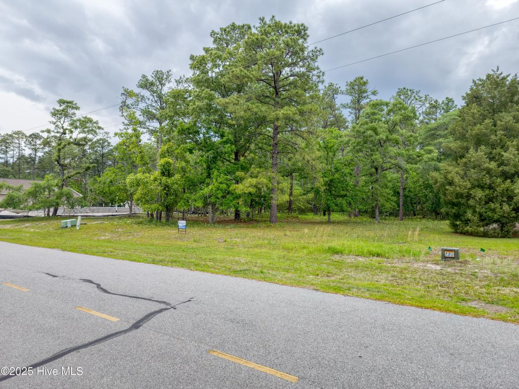 Photo of 2302 Caracara Drive, New Bern, NC 28560 (MLS # 100501278)
