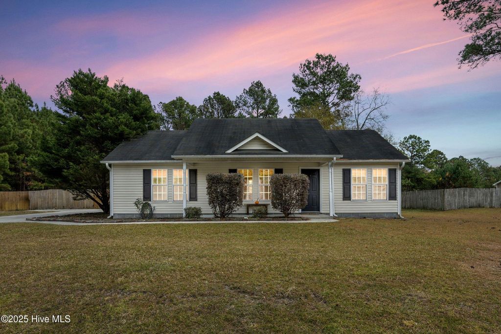 Photo of 103 Joshua Aaron Trail, Richlands, NC 28574 (MLS # 100542280)