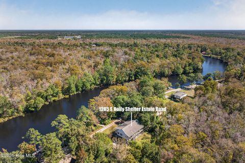 Tiny photo for 1285 S Holly Shelter Estates Road, Rocky Point, NC 28457 (MLS # 100536891)