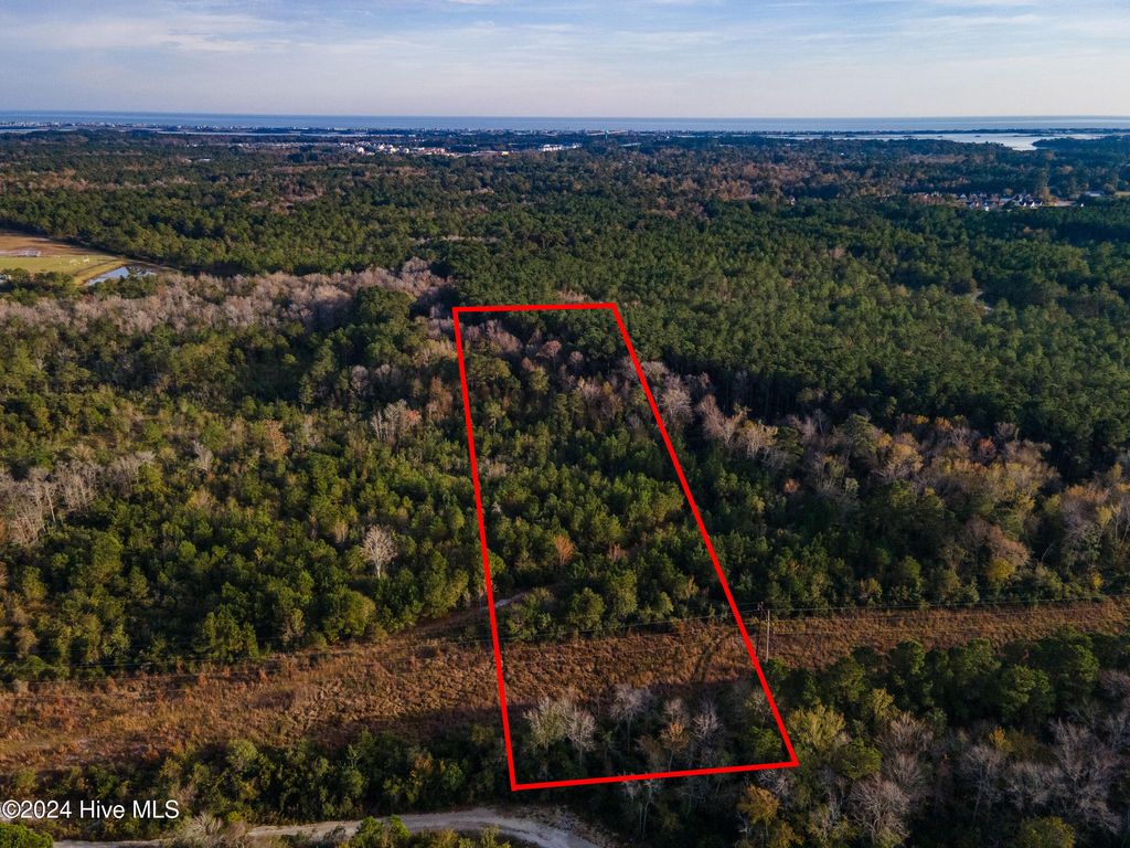 Photo of 310090 Hardison Drive, Hampstead, NC 28443 (MLS # 100476031)