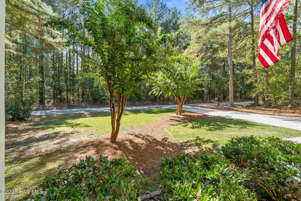 Photo of 887 Thrush Drive, Vass, NC 28394 (MLS # 100499530)