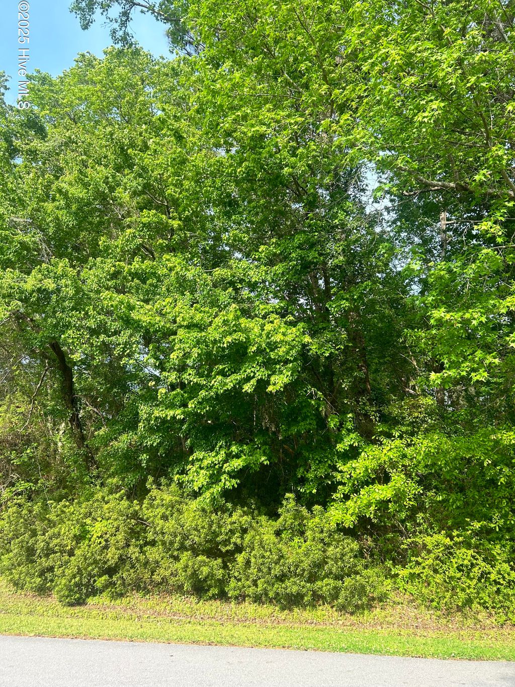 Photo of 160 Barrington Ridge, Bogue, NC 28570 (MLS # 100505243)