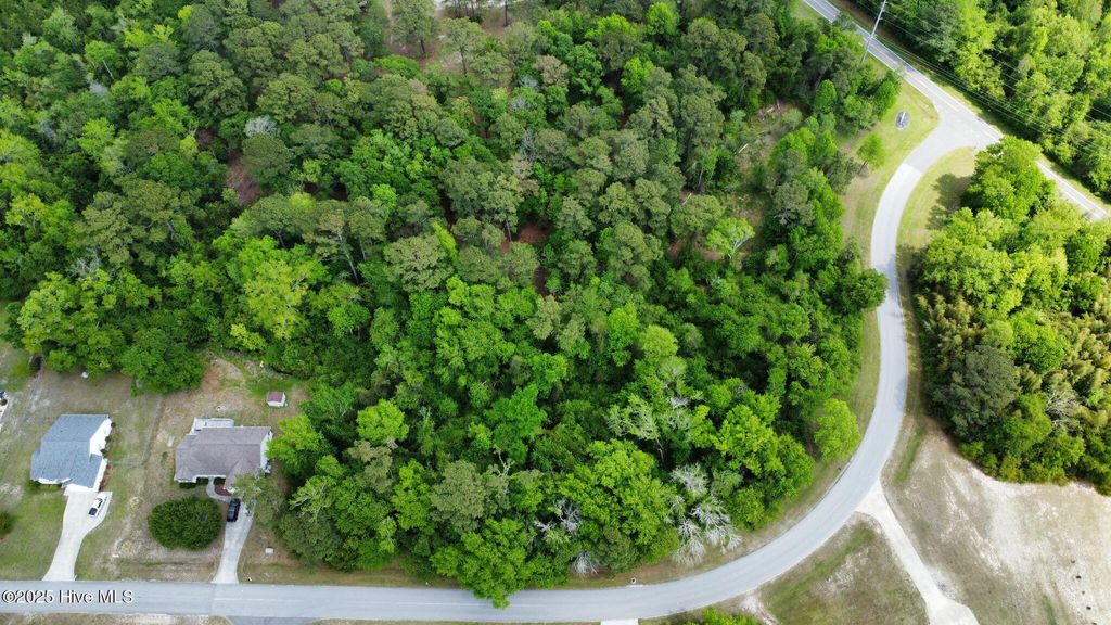Photo of 160 Barrington Ridge, Bogue, NC 28570 (MLS # 100505243)