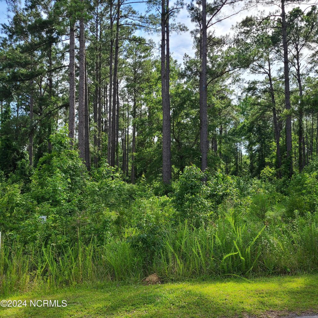 Photo of 124 Cedarwood Dr, Havelock, NC 28532 (MLS # 100449594)