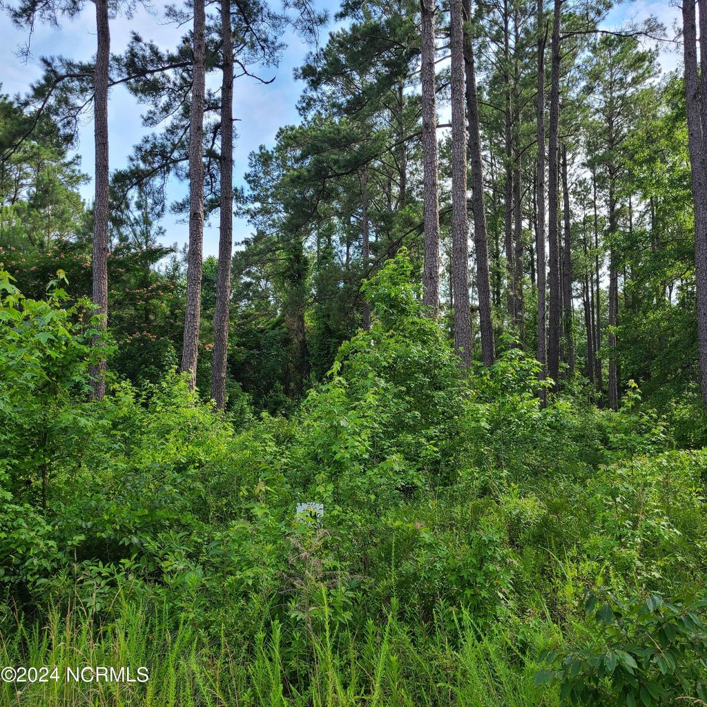 Photo of 124 Cedarwood Dr, Havelock, NC 28532 (MLS # 100449594)