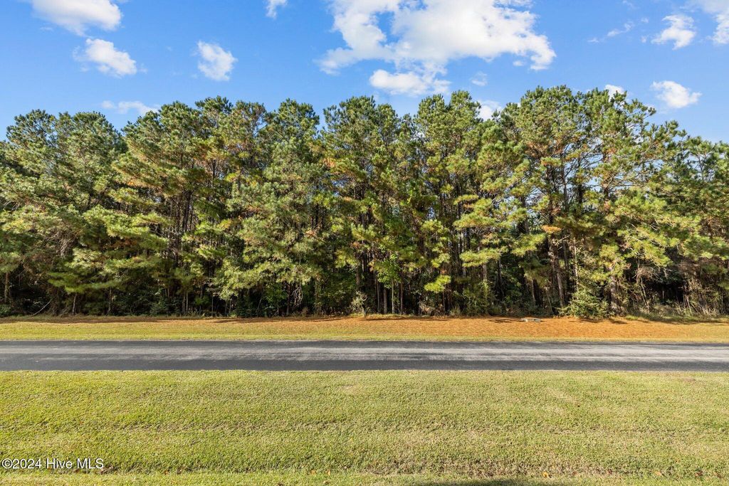 Photo of 135 Garbacon Drive, Beaufort, NC 28516 (MLS # 100476249)