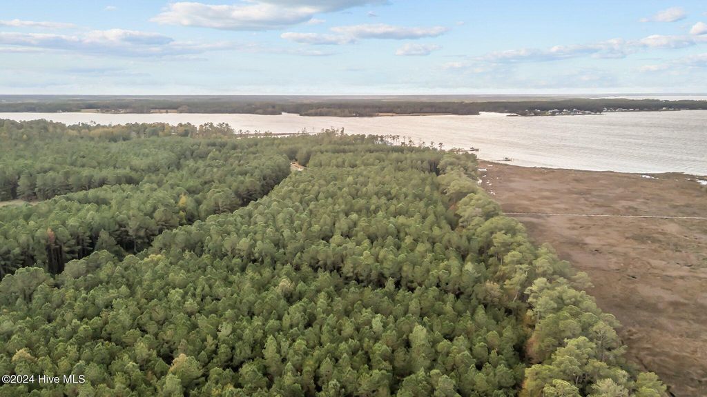 Photo of 135 Garbacon Drive, Beaufort, NC 28516 (MLS # 100476249)