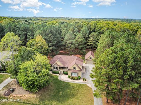 Photo of 115 Princeton Manor Drive, Youngsville, NC 27596 (MLS # 100536372)