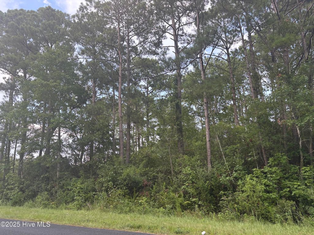 Photo of 2198 River Street SW, Supply, NC 28462 (MLS # 100521731)