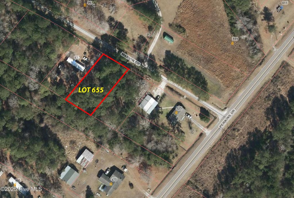 Photo of 655 Marvin Drive, Hampstead, NC 28443 (MLS # 100513743)