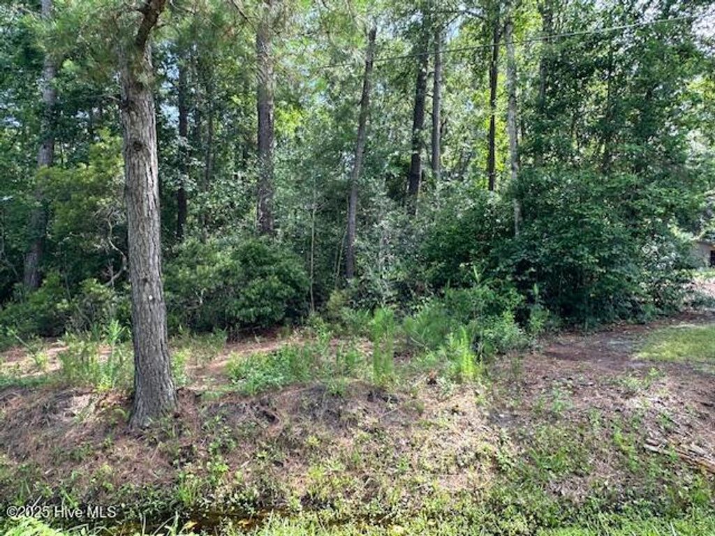 Photo of 655 Marvin Drive, Hampstead, NC 28443 (MLS # 100513743)