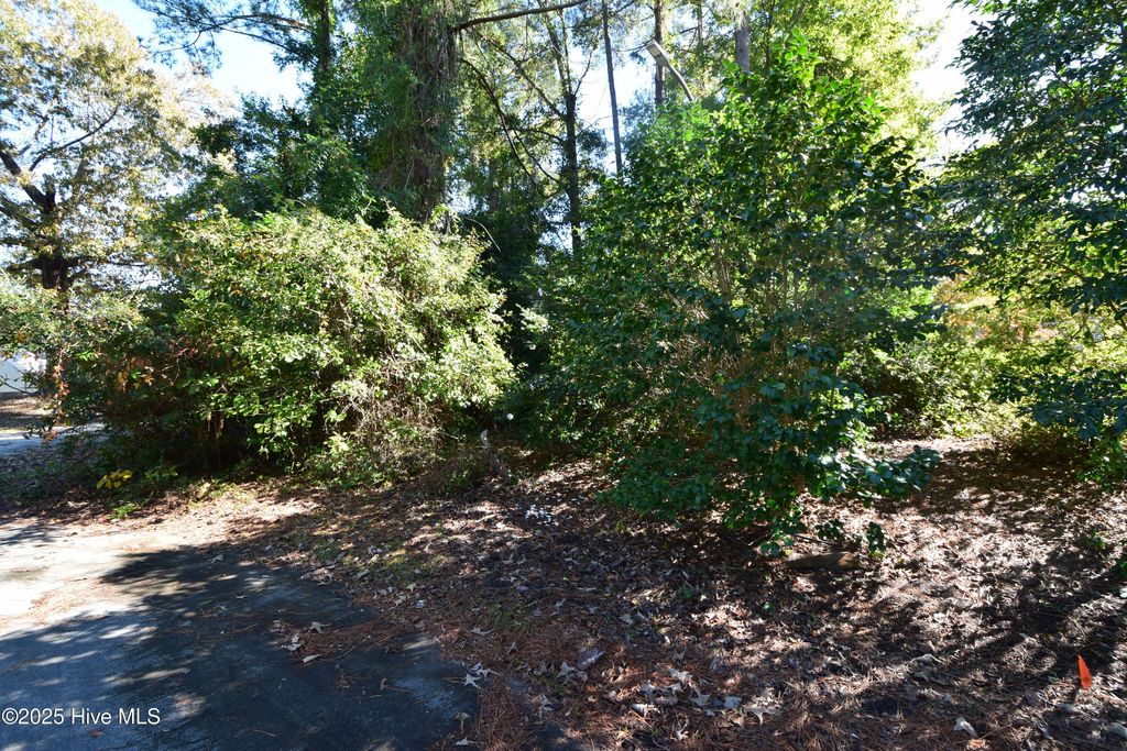 Photo of 246 Shoreline Drive, New Bern, NC 28562 (MLS # 100539603)