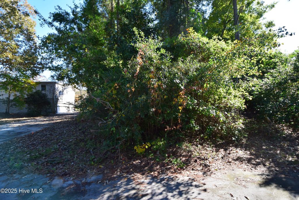 Photo of 246 Shoreline Drive, New Bern, NC 28562 (MLS # 100539603)