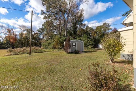 A home in Jacksonville