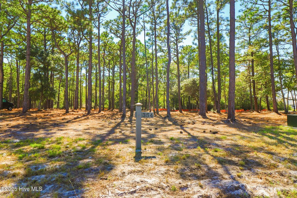 Photo of 406 Summer Duck Drive, Beaufort, NC 28516 (MLS # 100536257)