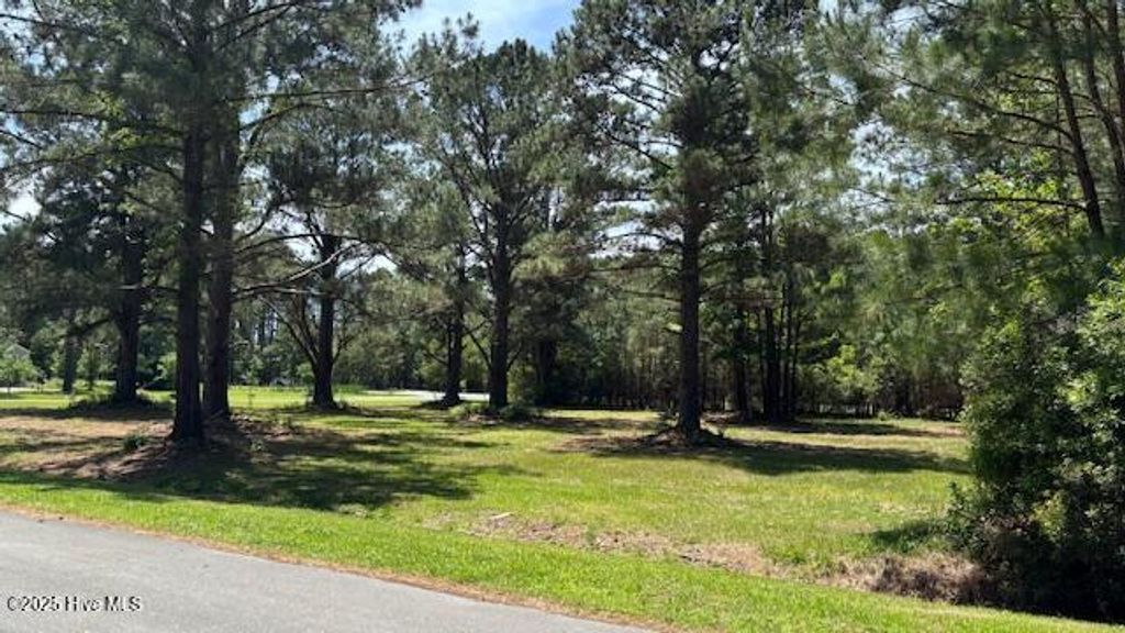 Photo of 5303 Anchor Way, Oriental, NC 28571 (MLS # 100506565)
