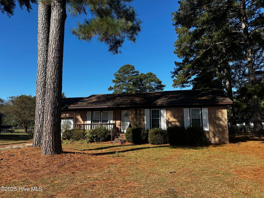 Photo of 4814 Green Pine Road, Farmville, NC 27828 (MLS # 100535490)