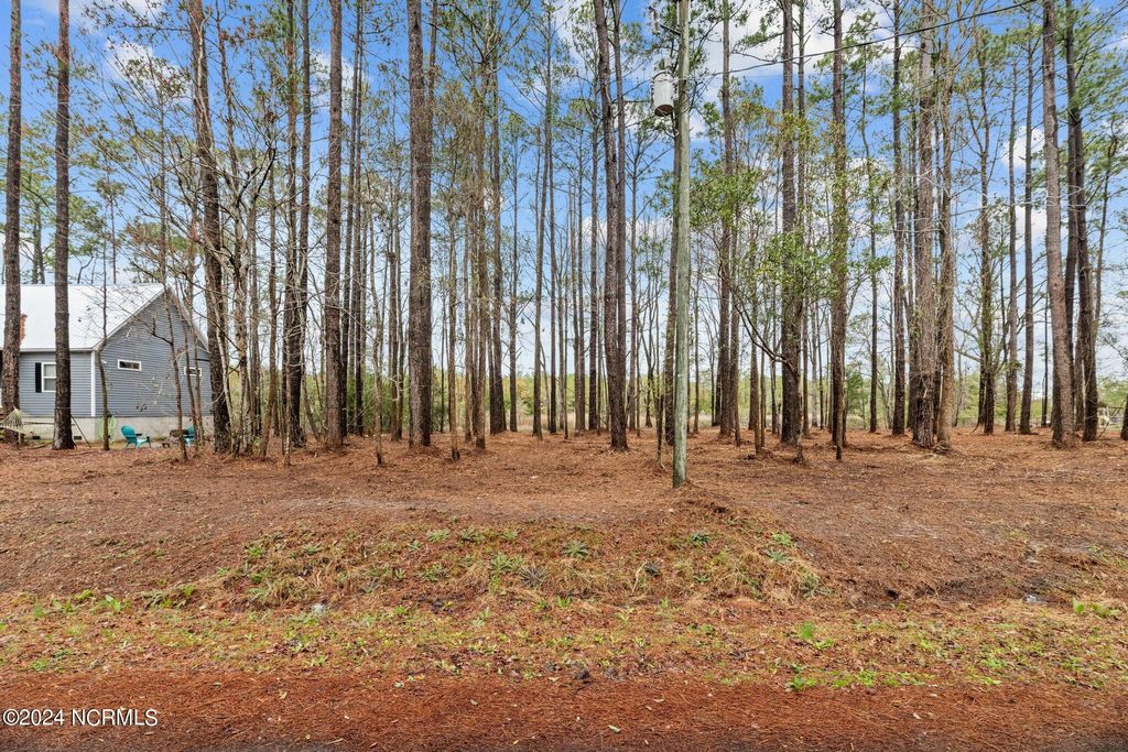 Photo of 6013 Falcon Drive, Oriental, NC 28571 (MLS # 100446132)