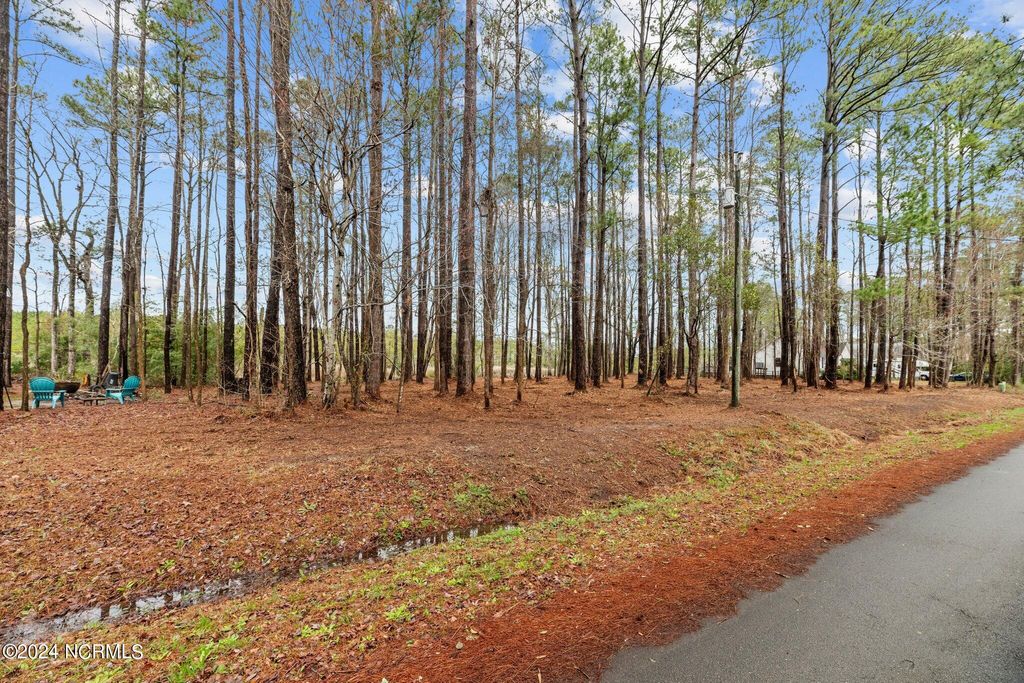 Photo of 6013 Falcon Drive, Oriental, NC 28571 (MLS # 100446132)