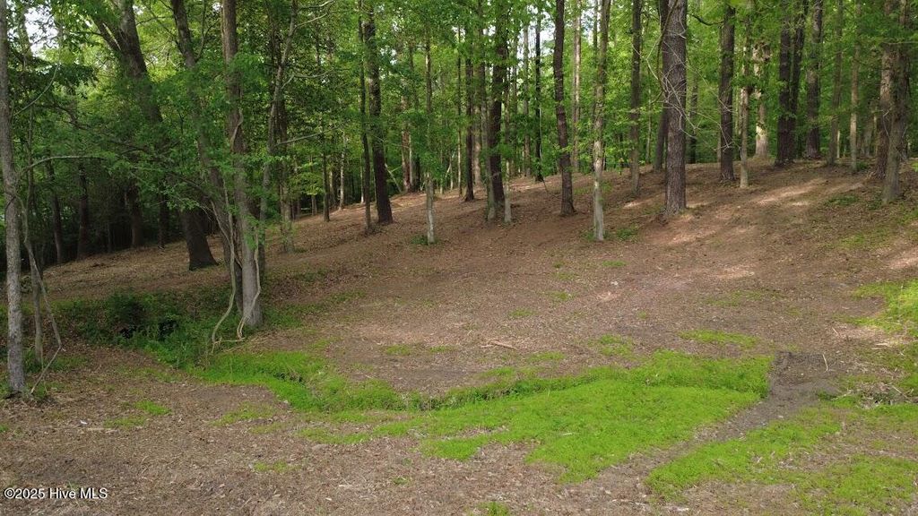 Photo of 0 Lot 82 Victoria Drive, Chocowinity, NC 27817 (MLS # 100482973)