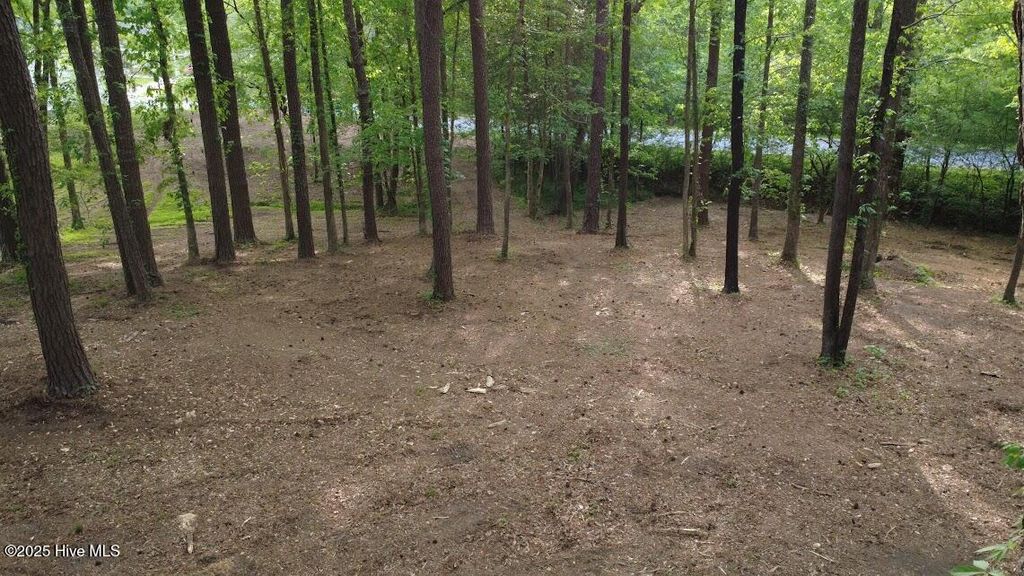 Photo of 0 Lot 82 Victoria Drive, Chocowinity, NC 27817 (MLS # 100482973)