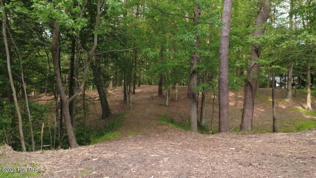 Photo of 0 Lot 82 Victoria Drive, Chocowinity, NC 27817 (MLS # 100482973)