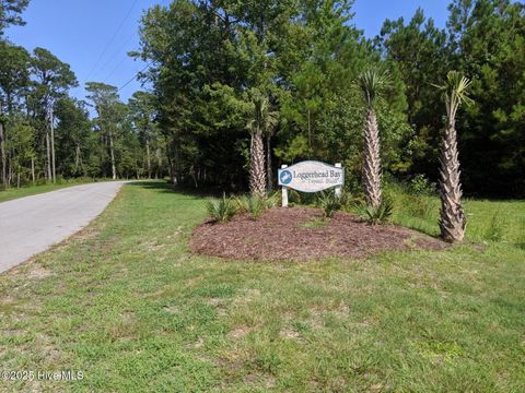 Tiny photo for 251 Gus Horne Road, Holly Ridge, NC 28445 (MLS # 100535743)