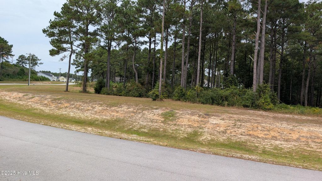 Photo of 251 Gus Horne Road, Holly Ridge, NC 28445 (MLS # 100535743)