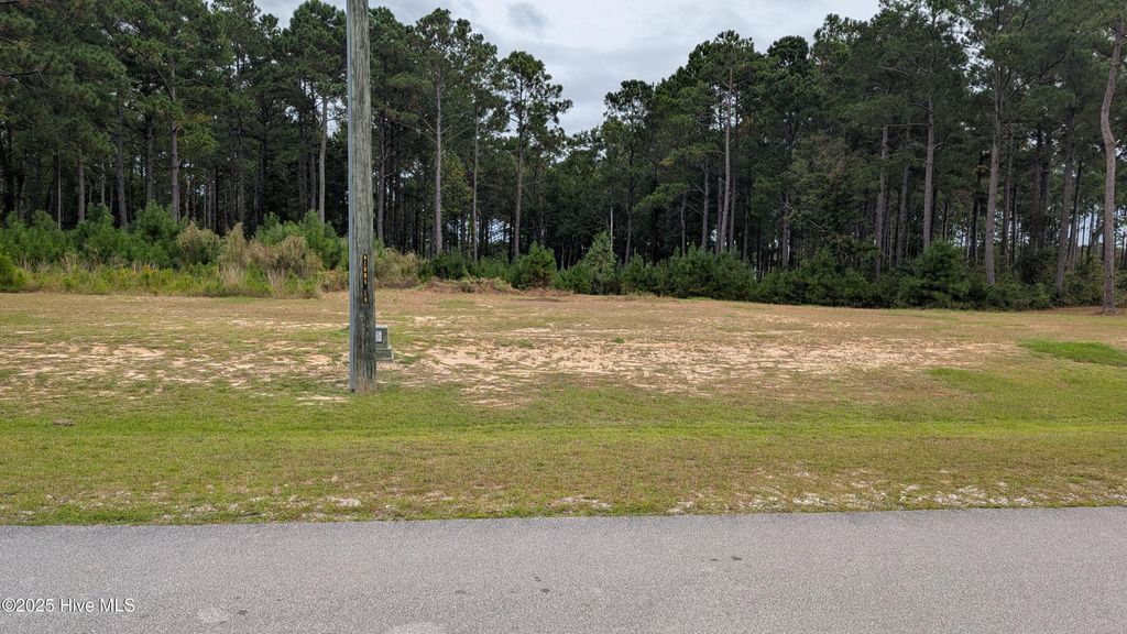 Photo of 251 Gus Horne Road, Holly Ridge, NC 28445 (MLS # 100535743)