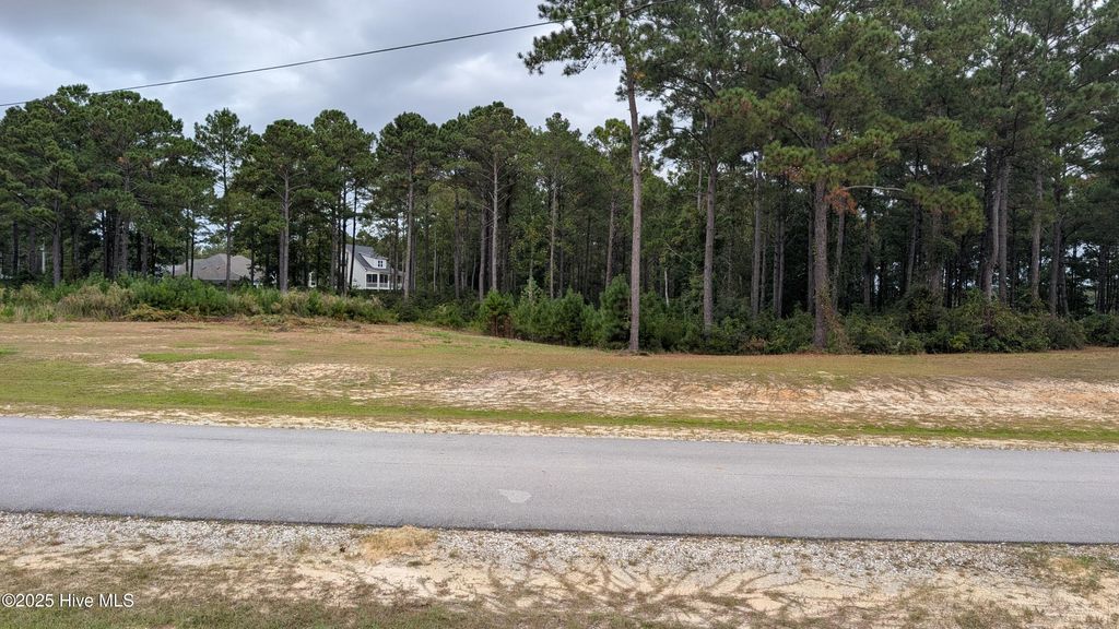 Photo of 251 Gus Horne Road, Holly Ridge, NC 28445 (MLS # 100535743)