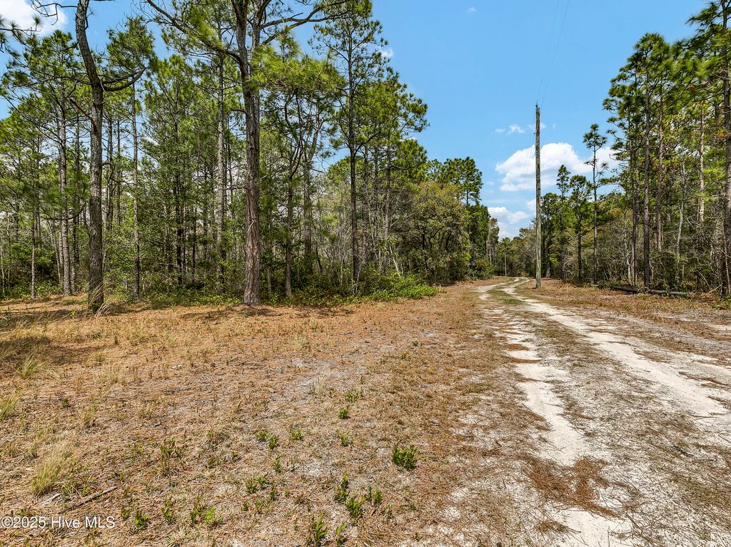 Photo of 00 Old Whitfield Road, Hampstead, NC 28443 (MLS # 100500100)