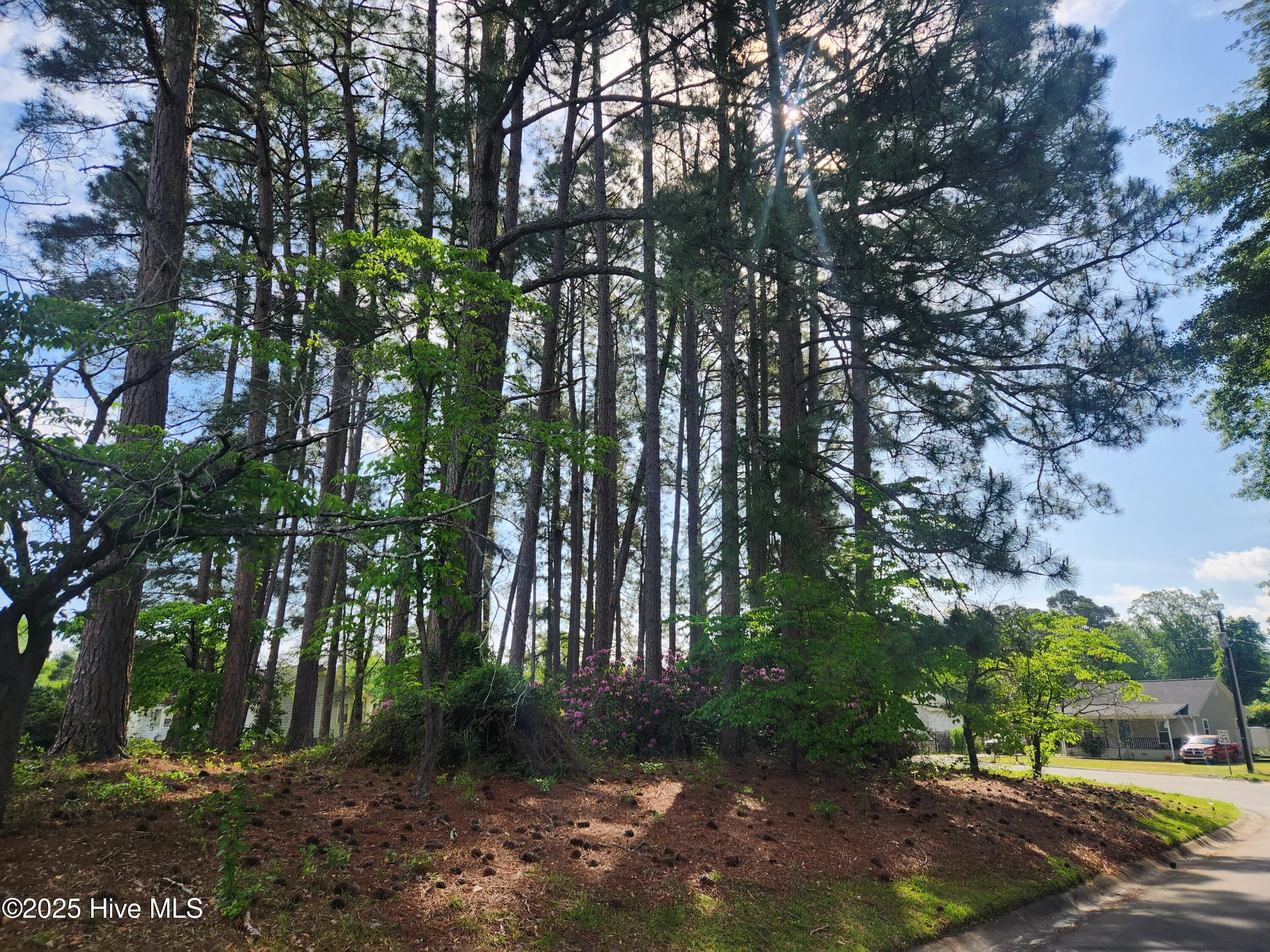 Goldsboro, North Carolina 27534, United States, ,Land,Pending,131728