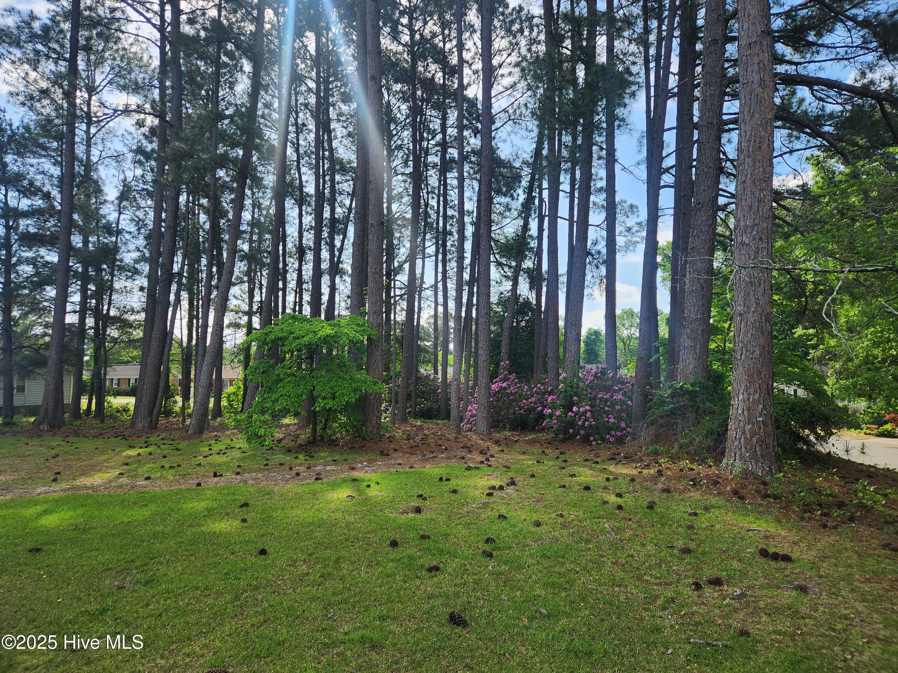 Goldsboro, North Carolina 27534, United States, ,Land,Pending,131728