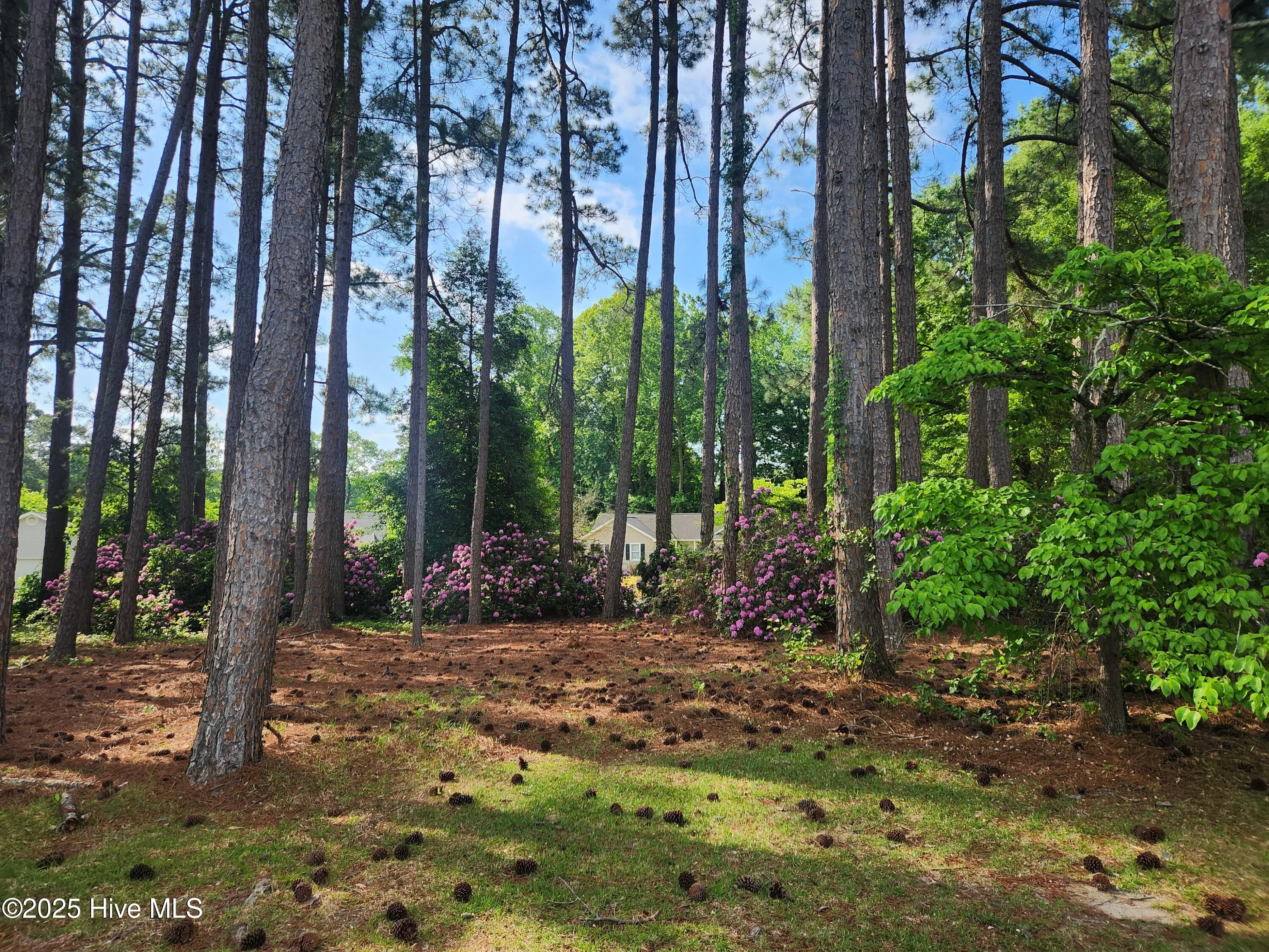 Goldsboro, North Carolina 27534, United States, ,Land,Pending,131728
