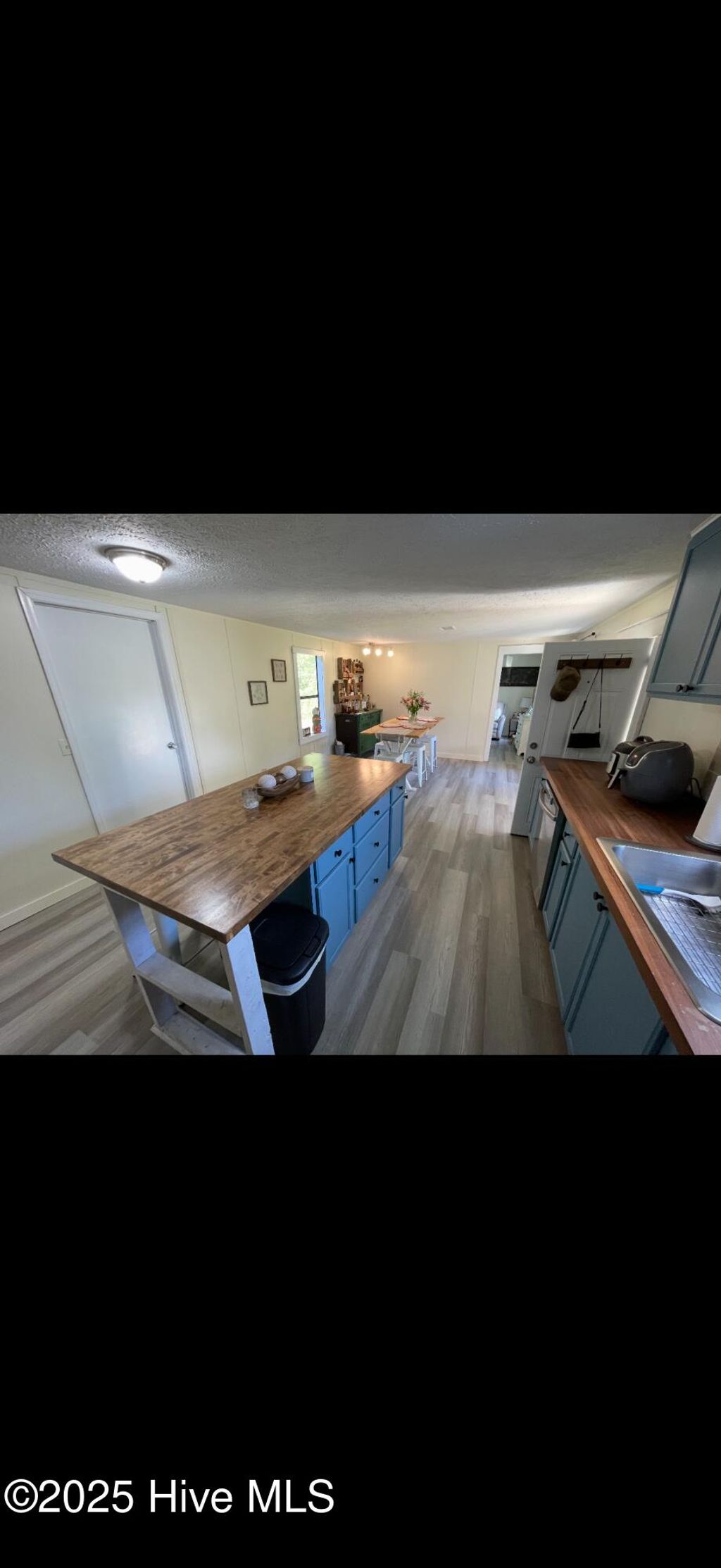 Photo of 244 Bear Den Drive, Willard, NC 28478 (MLS # 100528077)