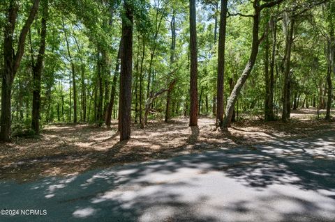 Tiny photo for 109 Island Bridge Way, Wilmington, NC 28412 (MLS # 100440899)