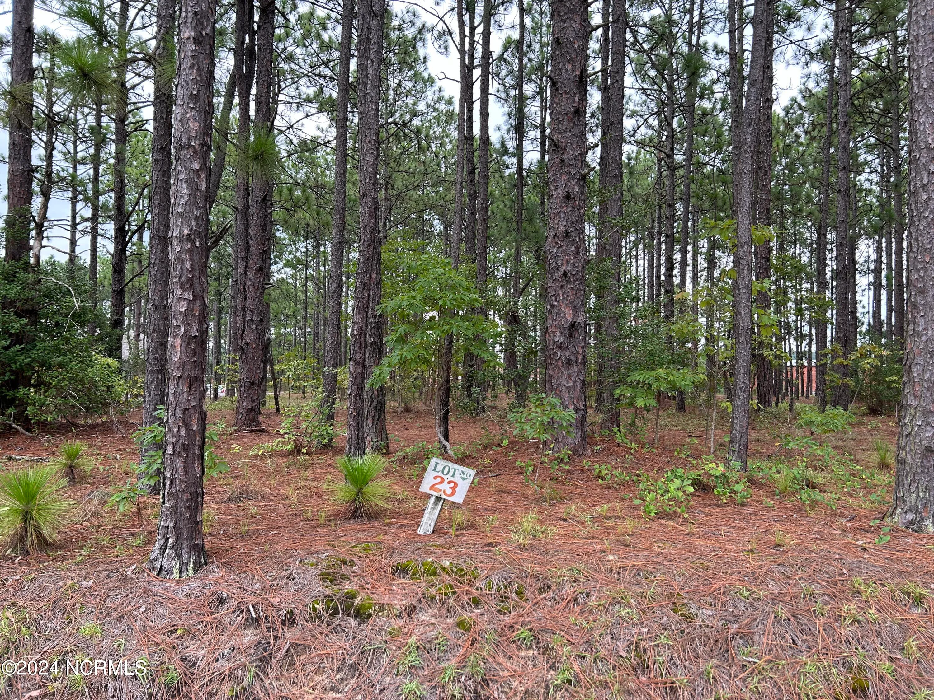 Aberdeen, North Carolina 28315, United States, ,Land,Pending,48236