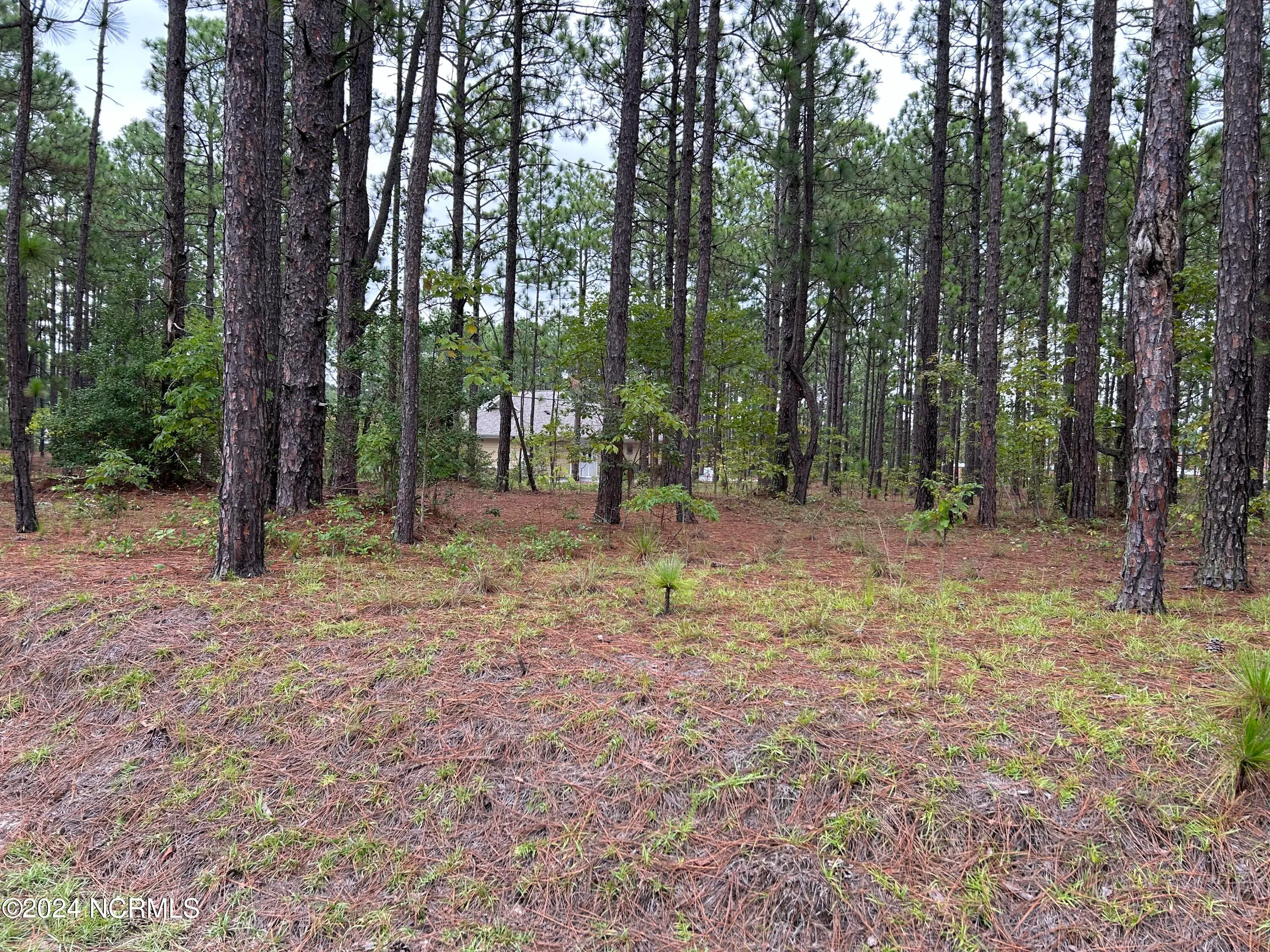 Aberdeen, North Carolina 28315, United States, ,Land,Pending,48236