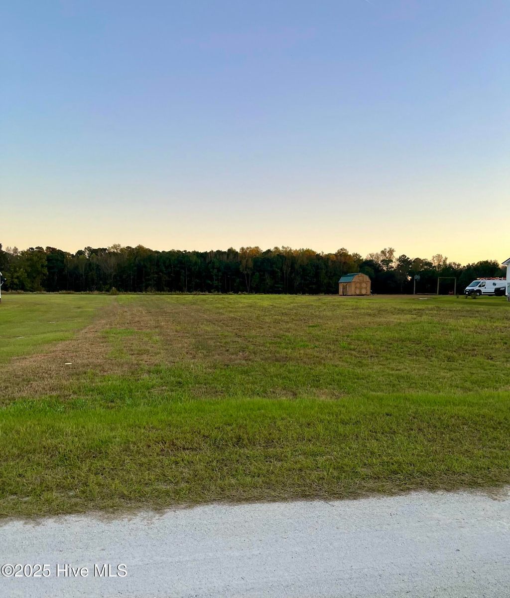 Photo of 117 Whispering Pines Lane, Magnolia, NC 28453 (MLS # 100537643)